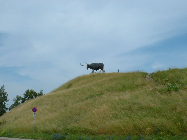 Cow statue - Rakvere