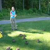 Cleaning campsite - Hollola