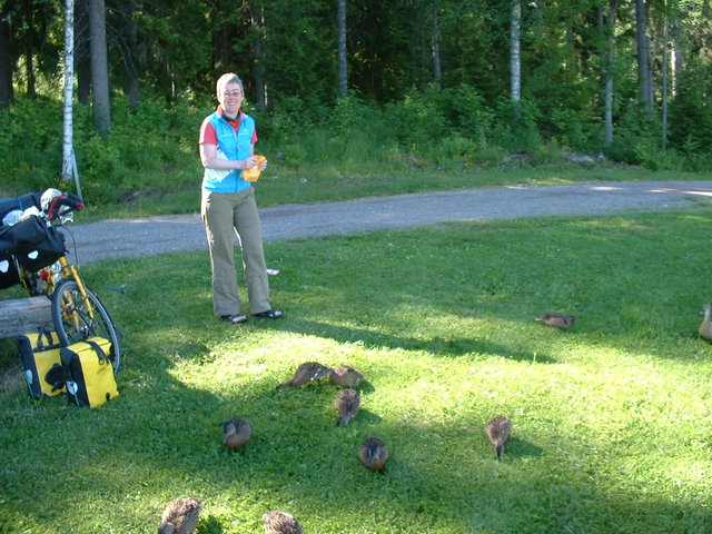 Cleaning campsite - Hollola