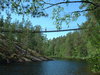 Suspension bridge from below