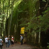 Guests' Bunker - Wolf's Lair