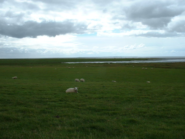 Mud flats, looking out to North sea - Ribe